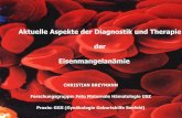 Aktuelle Aspekte der Diagnostik und Therapie der ...swissperinatalinstitute.com/pdf/eisenmangelanaemie.pdf · Eisen & Orale Hygiene..... 1: de Waal J, Dreyer WP. Oral medicine case