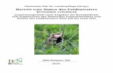 Bericht zum Status des Feldhamsters (Cricetus cricetus) 2012€¦ · Bericht zum Status des Feldhamsters (Cricetus cricetus) Zusammengestellt nach Angaben der Bundesländer und den