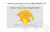 Osteopathische Medizin Das Iliosacralgelenkosteopedia.iao.be/uploads/ilium_de_demo_gratis.pdf · 6 1. Einführung Aufgrund unseres sitzenden Lebensstils werden unserer Gelenke nicht