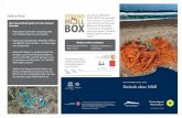 Safety first! STRAND Grunde: BOX Büsum, der Nationalpark-€¦ · Strand liegen bleiben. Allen übrigen Müll, insbeson-dere aus Kunststoﬀ , nimmt die STRAND-MÜLL-BOX gerne von