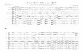 Konzert Nr.1 C- Durconquest.imslp.info/files/imglnks/usimg/9/9e/IMSLP382427...Oboe I Oboe II Horn I in C Horn II in C Violine I Violine II Viola Violoncello Kontrabass f Moderato f