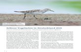 Seltene Vogelarten in Deutschland 2015€¦ · lichen Wirtschaftszone (AWZ) erfolgten. Wie in den bisherigen Berichten der DAK wird die Insel Helgo-land (Kreis Pinneberg, Schleswig-Holstein)