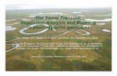 The Yamal Transect: Vegetation Analysis and Mapping (a ...Maier and Walker. 2010. Poster at 2nd Yamal LCLUC Workshop 17 GLS-1990 mosaic Land-cover maps of Yamal study locations •