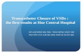 Transcatheter Closure of VSDs : the first results at Hue ...hntmmttn.vn/Upload/File/DVC 13PM/[CD7.58] ThongLienThat2015.pdf · Predescu 2008 20 0.5-16 100 0 0 23.1 22 . Conclusions