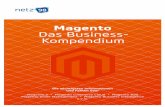 netz98 Magento – Das Business-Kompendium€¦ · B2B Edition Magento Commerce Cloud Magento 1 DIE ENTWICKLUNG VON MAGENTO 1 ZU MAGENTO COMMERCE CLOUD ... In ihrem „Magic Quadrant