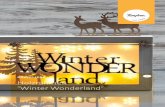DM Holzrahmen-Winter-Wonderland 0718 · 46 311 000 Holzschrift "Winterwonderland" 1 Stück 42 000 504 Jutekordel auf Holzkarte 1,50 Meter 23 097 000 3D-Effekt-Folie Sternchen 1/3