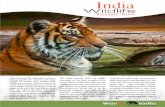  · Ranthambore Tiger Reserve Sariska Tiger Reserv NEPAL kaziranga National Park Ban dhav Tiger Re Tige Rese 0 Sariska Tiger Reserve Hang out with the royal tigers of Bengal which