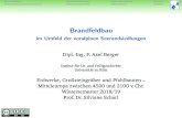 Brandfeldbau, im Umfeld der voralpinen Seerandsiedlungenaxel.berger-odenthal.de/work/Referat/Vortrag-Brandfeldbau.pdf · In: Hans-Rudolf Bork, Harald Meller & Renate Gerlach (Hrsg.),