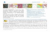 Newsletter 02/2018 - Landesportal Sachsen-Anhalt50… · Geodatensätze in Zukunft aus dem kombinierten Einsatz des INSPIRE ETF-Validators und der GDI-DE Testsuite bestehen sollte.