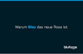 Warum Blau das neue Rosa ist. - Amazon Web Services · 2018-01-18 · PRO SITZUNG ACTIVE BEAUTY ONLINE ZEIGT, DASS JEDER KANAL SEINE INDIVIDUELLEN STÄRKEN UND VORTEILE AUFWEIST,