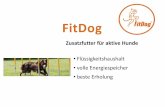 FitDog...• FitDog Energy & Rehydrate kann bereits 1-2 Tage vor der Belastung zugeführt werden, je nachdem, welcher Leistung der Hund ausgesetzt wird. Flüssigkeitszufuhr vor der