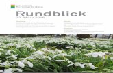 Rundblick - Rorschacherberg · Rundblick 23. März 2018 Gemeinde 5 Prüfungserfolg von Martina Edelmann Martina Edelmann arbeitet seit 1. Januar 2016 für die Gemeinde Rorschacherberg.