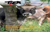 Billigwelpen – fatale Schnäppchenjagd Ein Lebenshof zieht um€¦ · • Die Werbung zeigt uns täglich glückliche Kühe auf saftigen Weiden und dass alle Tiere genug Platz haben