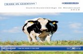 KRAIBURG Prospekt 2019 Milchvieh DE 0918 · 2019-03-27 · 4 KRAIBURG – tonangebend in der Kautschukindustrie KRAIBURG hat sich seit 1947 als kompetenter Spezialist in der Gummi-Fachwelt
