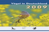 Vögel in Deutschland 2009 - BfN · in „Vögel in Deutschland 2008“ anlässlich des Erscheinens der aktualisierten „Roten Liste der Brut-vögel Deutschlands“ veröffentlicht.
