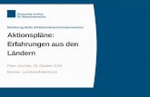 Monitoring-Stelle UN-Behindertenrechtskonvention ... · Veranstaltungen, Veröffentlichungen) gesetzliche Grundlage seit 2015 Finanzierung durch den Bundestag seit 2016 zwei Monitoring-Stellen