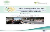Lenkungsgruppe der Eu- ropäischen Netzwerke des ...enrd.ec.europa.eu/sites/enrd/files/sg1-report-de.pdfdes ländlichen Raums“ („EU Rural Networks' Strategic Framework and Governance