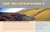 4/ 2012 im BlickPunkT - Fraunhofer · 2020-05-15 · im BlickPunkT Newsletter des Fraunhofer IIS in Kooperation mit dem Förderkreis für die Mikroelektronik e. V. 4/ 2012 Fraunhofer-Präsident