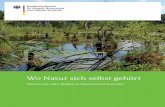 Wo Natur sich selbst gehört - BMU · 2019-08-12 · Wo Natur sich selbst gehört Warum wir mehr Wildnis in Deutschland brauchen Pulsnitzaue im Wildnisgebiet NSG Königsbrücker Heide.