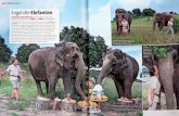  · MOMENT MAL Engel der Elefanten STÉPHANIE VON MONACO hat das gerettet_ Nun prasentierte sie NÉPAL und BABY der Ôffentlichkeit Sie liebt den Zirkus und hat ein fur große Tiere