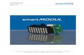 smart MODULfile.yizimg.com/1040/2009060905553410.pdf · 2015-11-25 · smartMODUL.doc 20.03.2008/ V.H. Page 4 / 22 smartGAS Mikrosensorik GmbH Kreuzenstrasse 98 74076 Heilbronn Tel.: