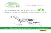 healthcare for your animal A llergiefuer bis Z eckenschutz. Y yv et … › marken › organicvet › organicvet... · 2018-04-12 · healthcare for your animal e! Y a r b y v et