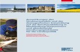 Auswirkungen des Strukturwandels und der demografischen …library.fes.de/pdf-files/bueros/schwerin/07420.pdf · 2010-08-30 · Mecklenburg-Vorpommern mit Haupt- oder Realschulabschluss