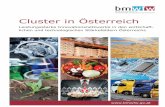 Cluster in Österreich - WKO.at2014/11/06  · Cluster, verstanden als regionale Konzentrationen von Unternehmen und Institutionen in einem definierten wirtschaftlichen und technologischen