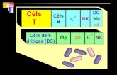 Presentación de PowerPoint - UNAMdepa.fquim.unam.mx/bacteriologia/presntaciones/cap1nueva.pdf · El relevante papel del péptido C3b del C´: 1. Como opsonina 2. Como activador del