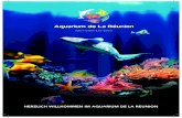 HERZLICH WILLKOMMEN IM AQUARIUM DE LA Aquarium de La R£©union Herzlich willkommen im Aquarium de la