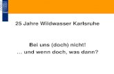 25 Jahre Wildwasser Karlsruhe Bei uns (doch) nicht!test.wildwasser-frauennotruf.de/wp-content/uploads/... · • Bausteine institutioneller Schutzkonzepte „Klassische“ Fehler