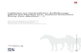Leitlinien zur tierärztlichen Aufklärungs- pflicht bei ...€¦ · 5 Österreichische Tierärztekammer Pferdepraktiker 31. 3. Auflage, M.&H. Schaper 2011 8. 2012 Judikatur- & Literaturverzeichnis