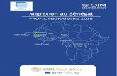 Migration au Sénégal - ANSD - Profil...MIGRATION AU SENEGAL _____ PROFIL NATIONAL 2018 Préparé pour l’ANSD et l’OIM par Dr. Babacar NDIONE Démographie et de l Organisation