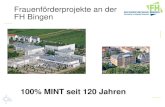 Frauenförderprojekte an der FH Bingen - uni-mainz.de · 2018-04-19 · Tokenism Einteilung in 4 Gruppen 15 : 85 Skewed Group (verzerrte) 65 : 35 Tilted Group ( auf der Kippe) 50