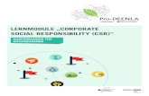 LERNMODULE „CORPORATE SOCIAL RESPONSIBILITY (CSR)“ · 2019-07-15 · PR0-DEENLA_LERNMODULE „CORPORATE SOCIAL RESPONSIBILITY (CSR)“_ LERNMODUL „VERANTWORTUNG – VOM ARBEITSPLATZ
