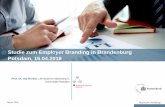 Studie zum Employer Branding in Brandenburg Potsdam, 16.04 · demographischen Wandel, die zunehmende Urbanisierung und die Digitalisierung besonders vom Fachkräftemangel betroffen
