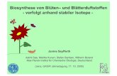 Biosynthese von Blüten– und Blätterduftstoffen - verfolgt ... · Astrid Søe, Maritta Kunert, Stefan Bartram, Wilhelm Boland Max Planck Institut für Chemische Ökologie, Deutschland