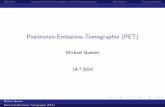 Positronen-Emissions-Tomographie (PET) · I Prof. P.Reiter, Physics of Detectors, Uni K¨oln I Univ.Doz.DI.Dr. Manfred Krammer, Detektoren in der Hochenergiephysik, Uni Wien I Michael