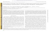 Molecular Pharmacology - Quantitative Single-Cell Analysis of …molpharm.aspetjournals.org/content/molpharm/90/3/162... · phospholipase C-b (PLCb), quantification of calcium levels