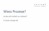 Wieso Prozesse? - SwissT.net · 7 1 Einführung 1.1 Zweck/ Umfang dieses Dokumentes 1.2 Fachwörter und Abkürzungen 2 Referenzen 3 Offene Punkte 4 Grundannahmen/ Produktvision