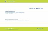 Die Anerkennung von ausländischen Qualifikationen · 2019-03-18 · Brain Waste Die Anerkennung von ausländischen Qualifikationen in Deutschland TüranTür Integrationsprojekte