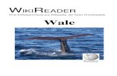 Reader Wale-red upd...Alle Wale haben einen langgestreckten Kopf, der besonders bei den Bartenwalen durch die weit ausladenden Kiefer extreme Ausmaße annimmt. Die Nasenlöcher der
