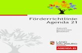 Förderrichtlinie Agenda 21 - Salzburg · 2019-02-11 · 4. 1 Infos zu Agenda 21 . Die . Agenda 21 (sinngemäß „was zu tun ist im 21. Jhd.“) wurde 1992 bei der Konferenz für
