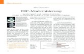 ERP-Modernisierung - GITOgito.info/homepage/erp/erphp.nsf/0/07B10A854A0EEB6FC125754B0… · 42 ERP Management 4 (2008) 3 Marktübersicht Jahre hinaus. Umso bedeutender ist die Modernisierung