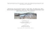 Welche Auswirkungen hat das Auftauen der Permafrostböden ... · PDF file 2. Die sibirische Tundra Die Tundra ist der Fachbegriff für die baumlose Vegetationsform der subpolaren Gebiete,