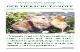 TIERSCHUTZVEREIN „TIERNOTHILFE“ DER TIERSCHUTZ-BOTE · Unser Tierheim befindet sich in 04703 Leisnig, Am Eichberg 11, und ist von Montag bis Samstag jeweils von 15 - 17 Uhr geöffnet.