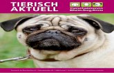 Tierschutz für den RheinSieg ... - Tierheim Troisdorf · Tierheim Im Tierschutzverein hat sich seit der letzten Ausgabe wieder einiges bewegt. • Frau Bianca AtellaHoetke konnte