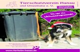 Tierschutzverein Hanau · - 5 - Tier stammt aus Gemeinde Zust ndiges Tierheim Telefon-Nr. Limeshain, Bad Vilbel TH Wetterau, Bad Nauheim 0 60 32 - 63 35 Rodgau, M hlheim, Seligenstadt,