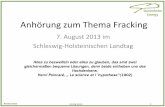 Dammholm Energy Anhörung zum Thema Fracking€¦ · 1 Anhörung zum Thema Fracking 7. August 2013 im Schleswig-Holsteinischen Landtag Alles zu bezweifeln oder alles zu glauben, das