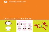 Jahresbericht 2016 der Krebsliga Schweiz · DSC_5043.JPG. 4 Die Krebsliga 2016: engagiert, wirkungsvoll und zukunftsgerichtet Cancer Survivors, Krebsbetroffene am Arbeitsplatz, schweizweite